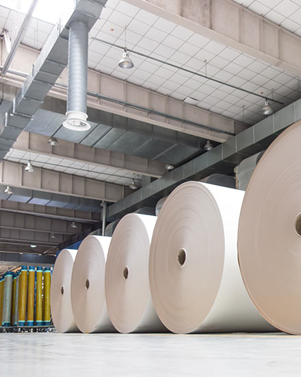 industrial-rolls-placed-warehouse