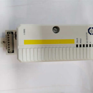 SM811K01 3BSE018173R1