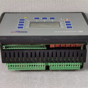WOODWARD EASYGEN-2500-5