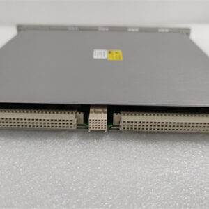 BENTLY 3500/22-01-01-00 138607-01