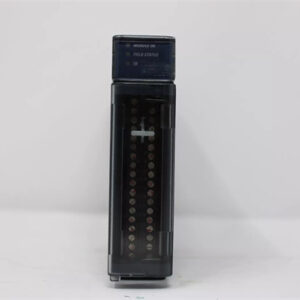 IC695ALG808