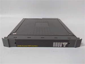 ICS TRIPLEX T8160